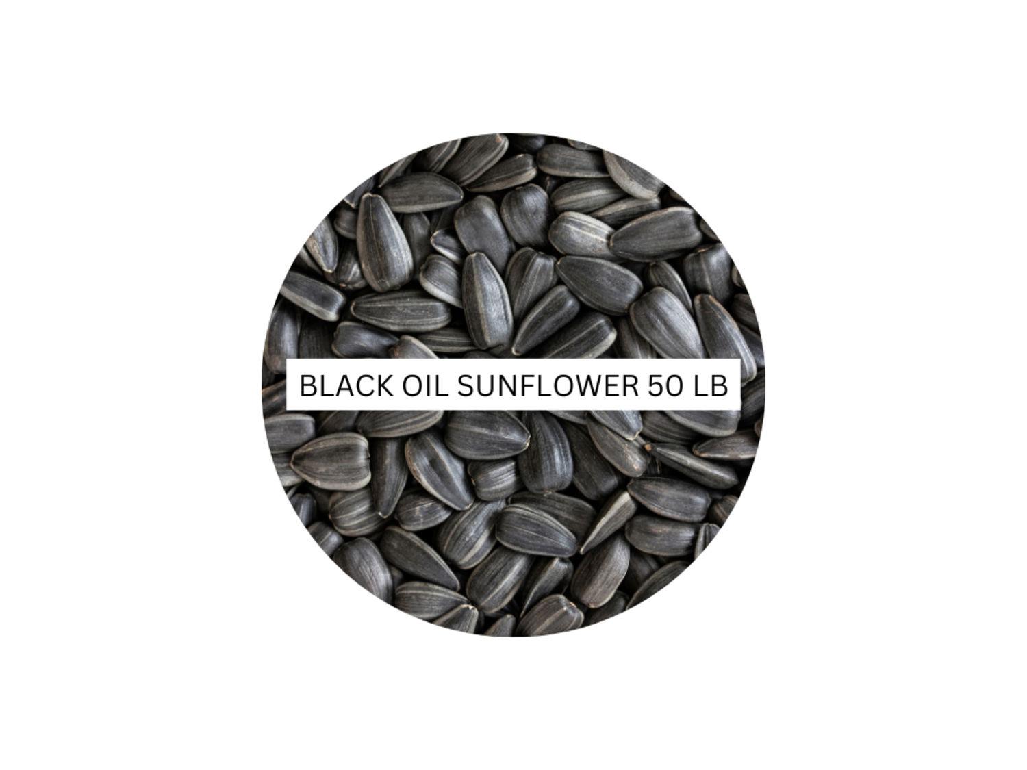 Black Oil Sunflower Seeds – 50 LB