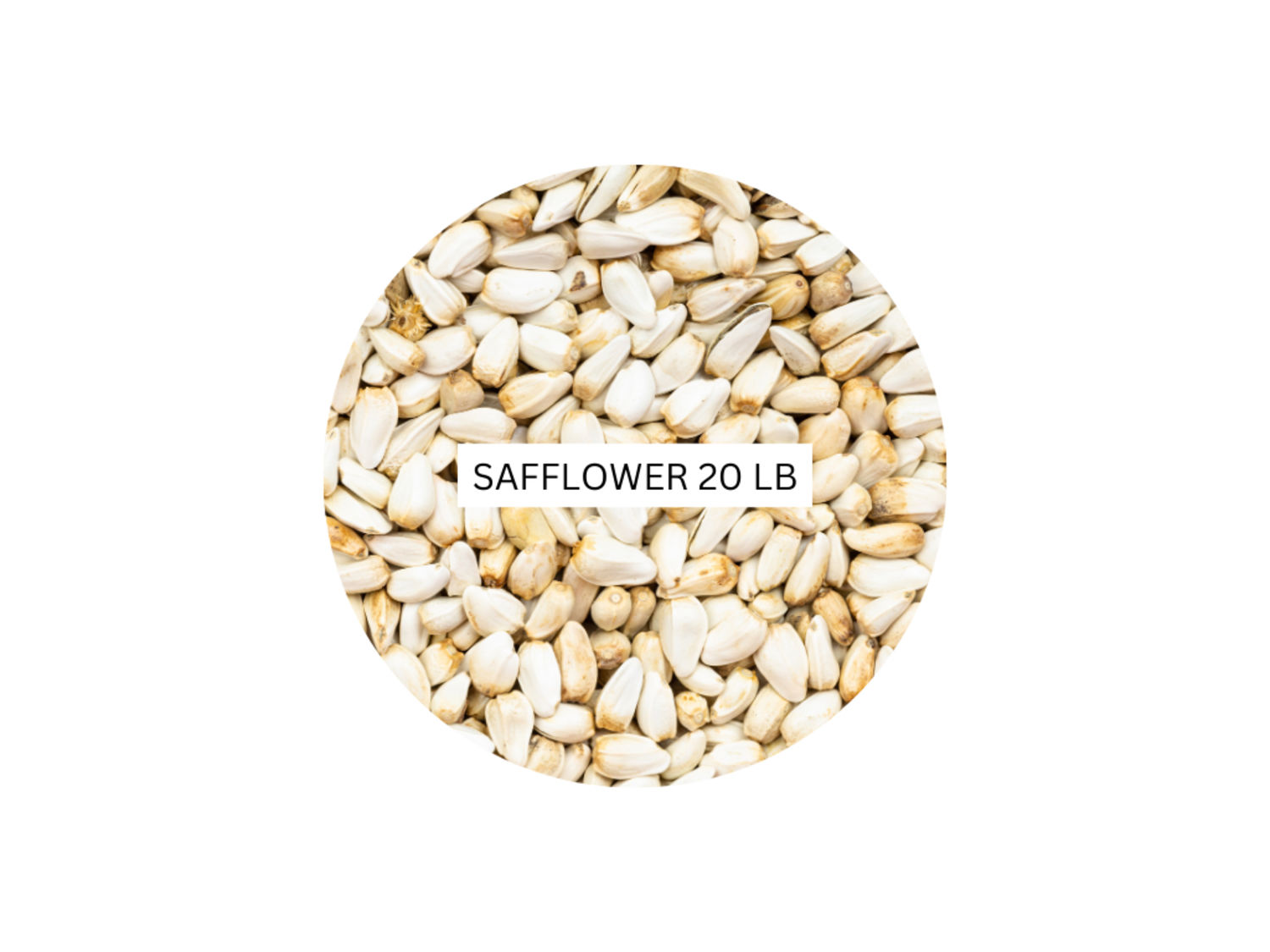 Safflower Wild Bird Food, 20-Lb