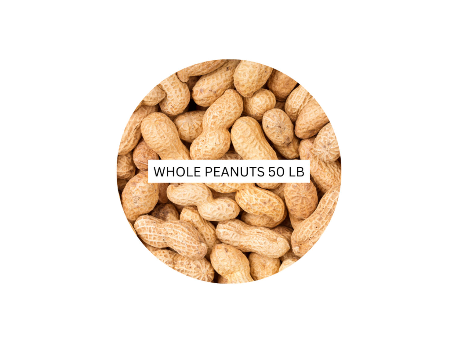 Whole Peanuts in Shell – 50 LB
